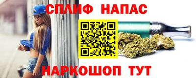 МДПВ Краснознаменск
