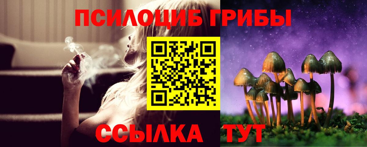 Ишимбай  Псилоцибиновые грибы Psilocybe  Вход с VPN 